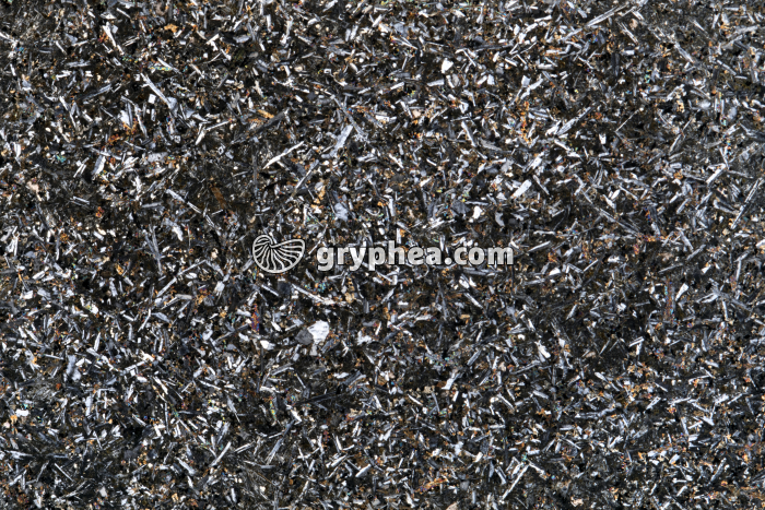 Roche magmatique non déterminée (Dolérite - Microgabbro) LPA x2 - gryphea.org